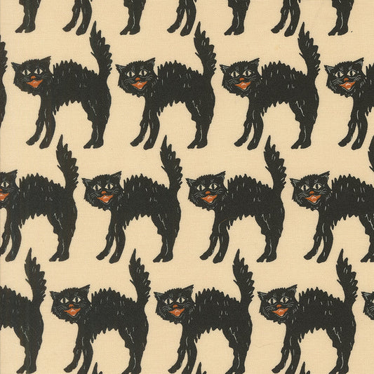 Home Sweet Haunt | Bone