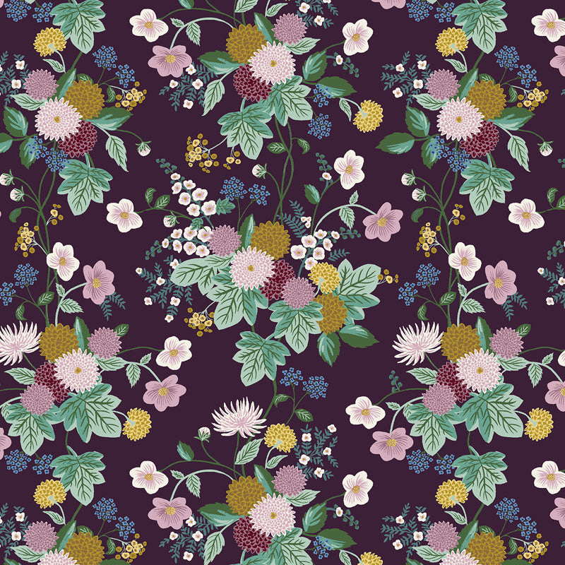 Dahlia | Dahlia in Aubergine