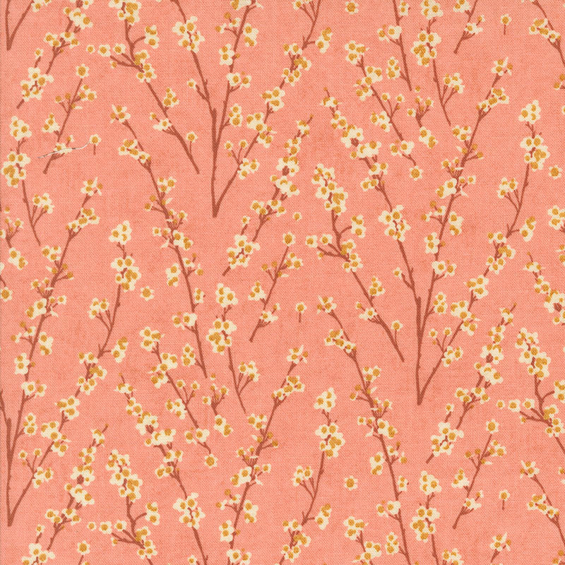 Acorn Hollow Fat Quarter Stack |  25 FQ