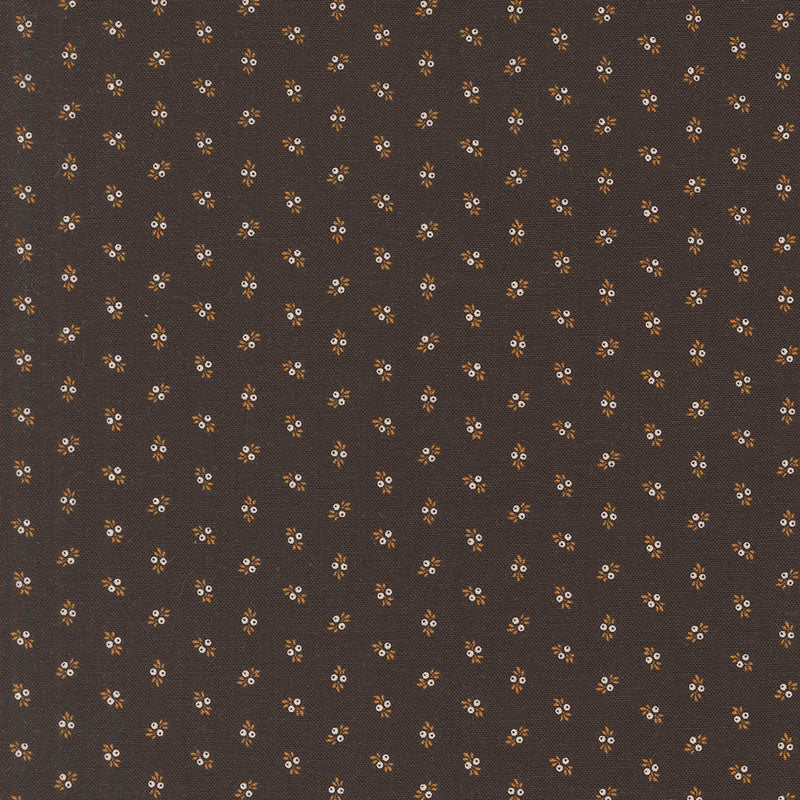 Pumpkin Spice Gatherings | Black Dirt