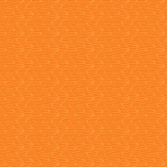 Century Rainbow | PAPAYA