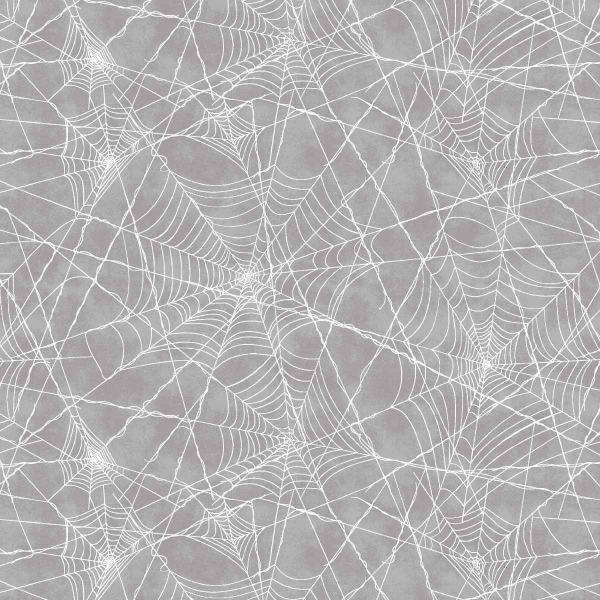 Spiderweb | Storm