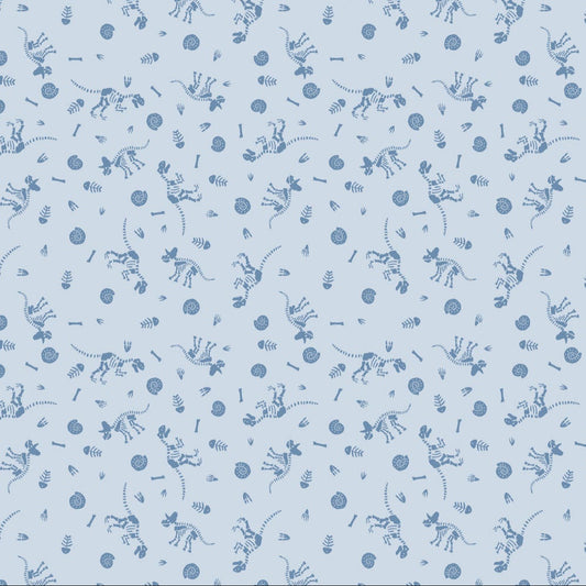 Fossil Folks | Fossils Blue