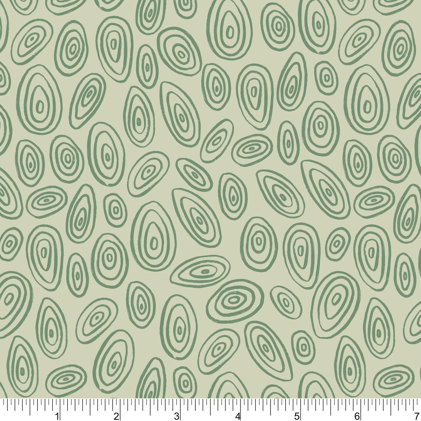 Fun in the Forest | Wood Slices