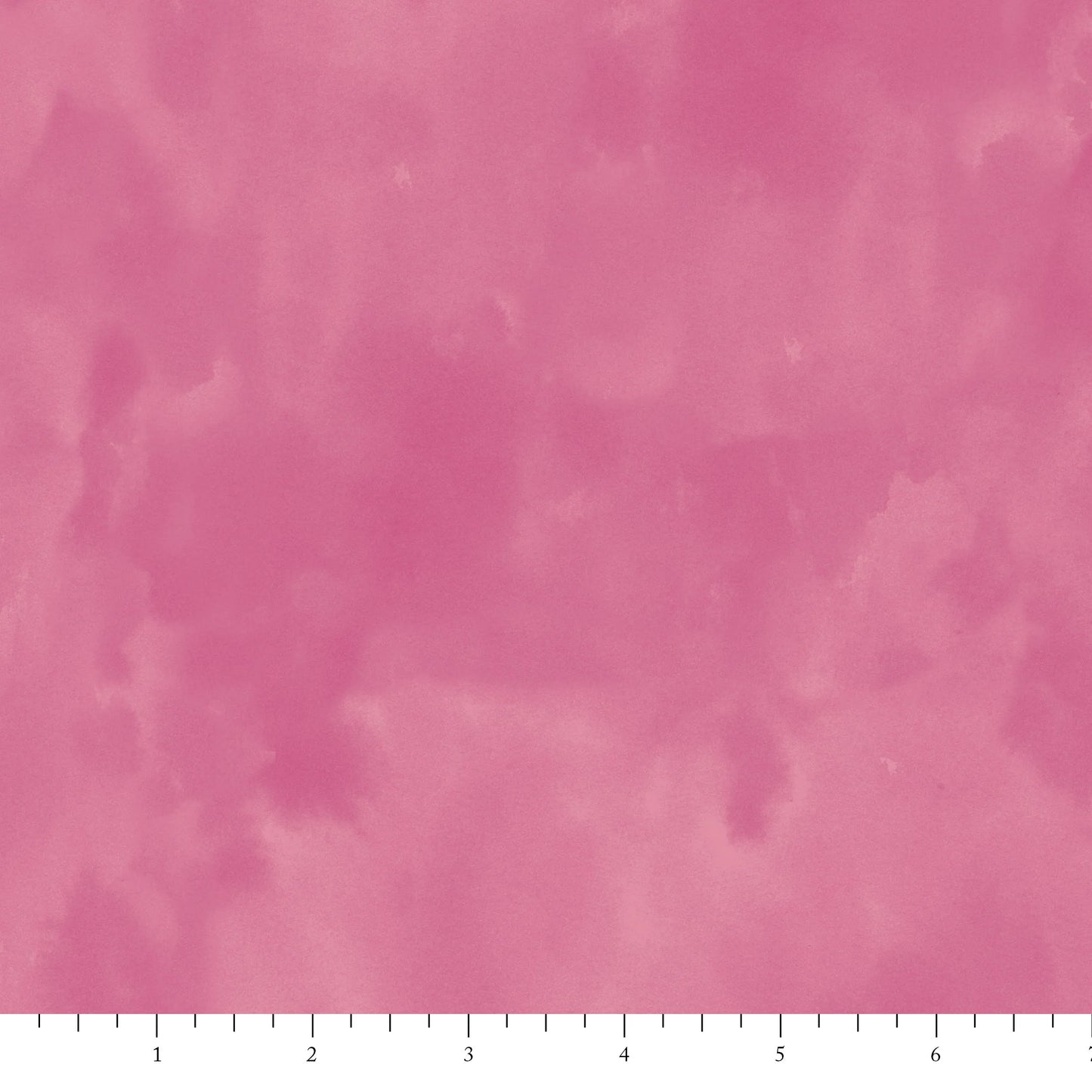 Bird & Bloom | Raspberry Colour Wash