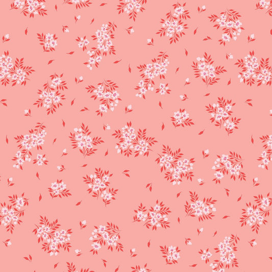 True Colors 2025 | What a Ditz - Peachy Keen