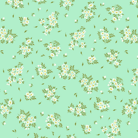 True Colors 2025 | What a Ditz - Spearmint