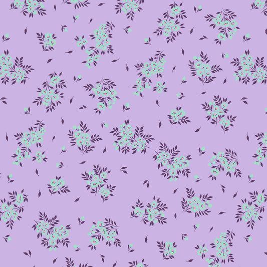 True Colors 2025 | What a Ditz - Viola