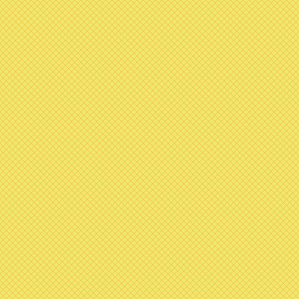 True Colors 2025 | On the Grid - Highlighter