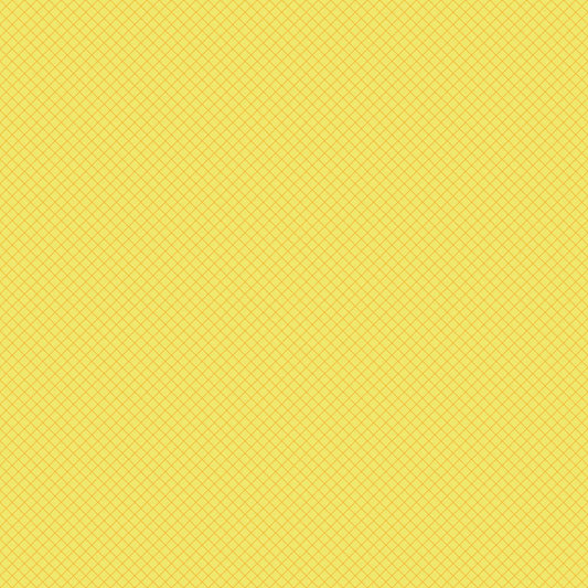 True Colors 2025 | On the Grid - Highlighter