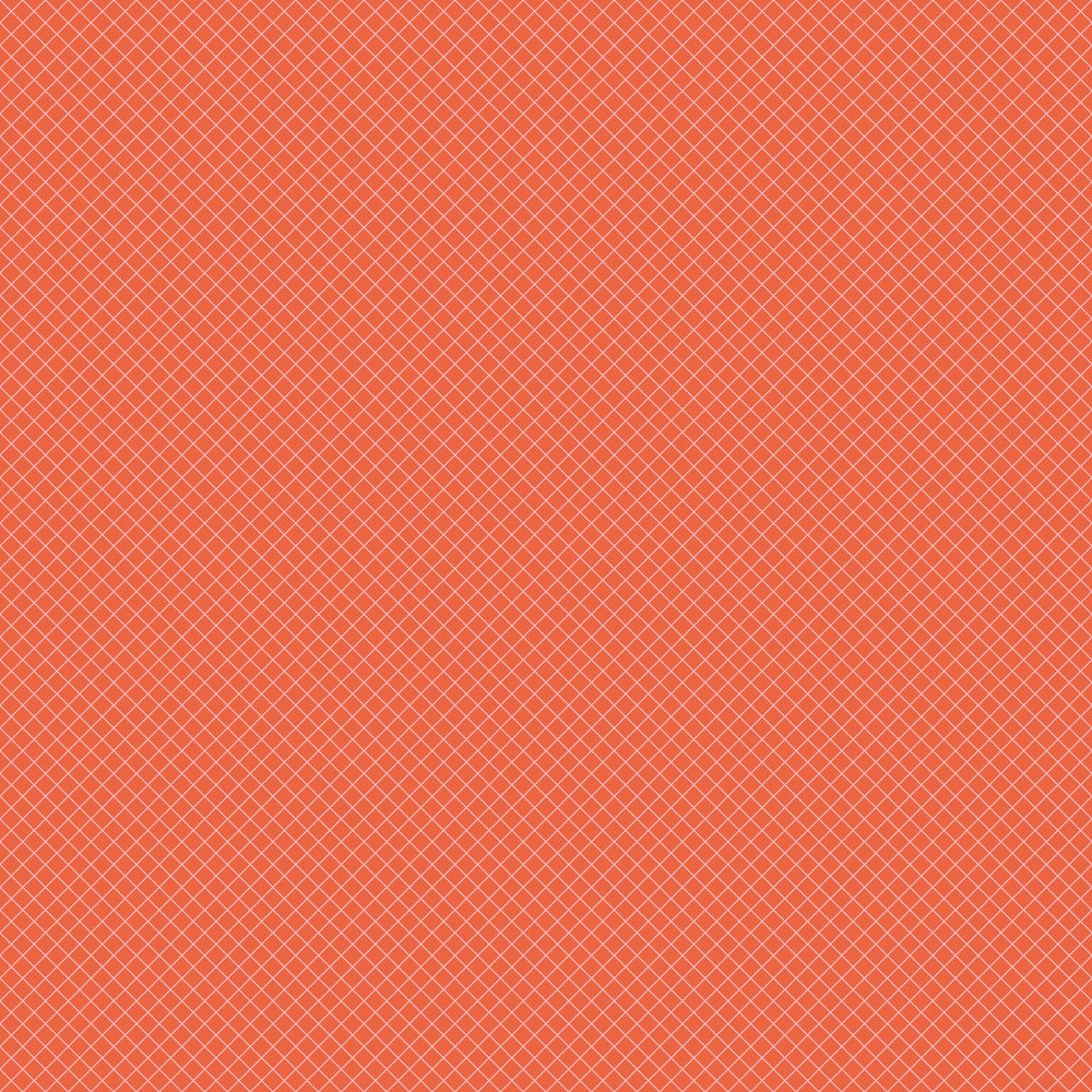 True Colors 2025 | On the Grid - Salmon