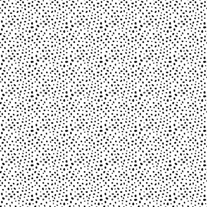 Quiet Riot | Cheet Oh