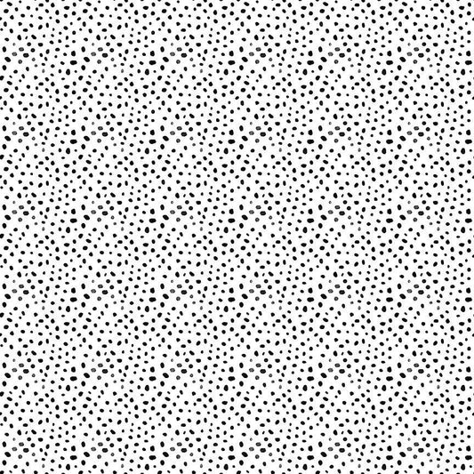 Quiet Riot | Cheet Oh