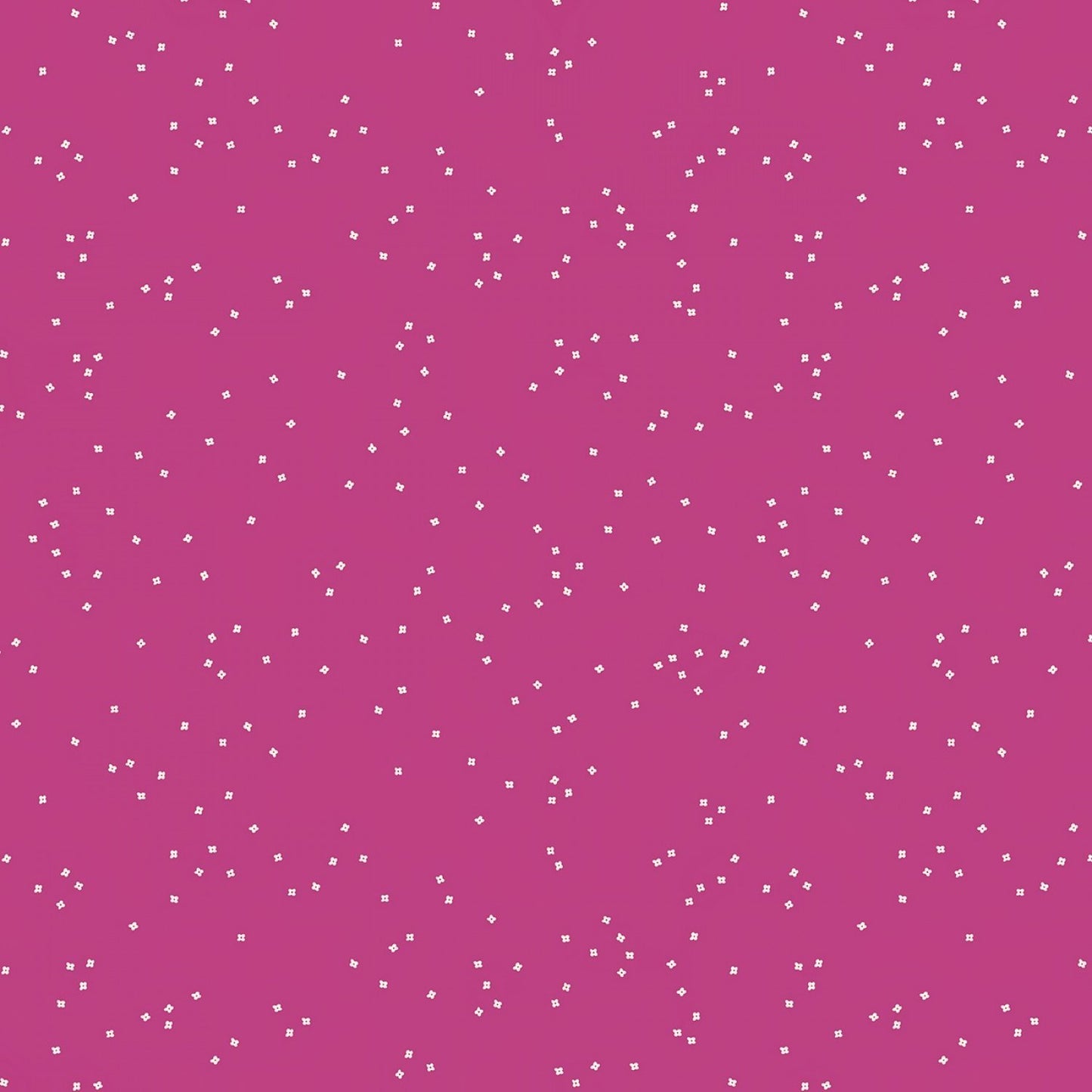 Blossoms In Color | Fuchsia