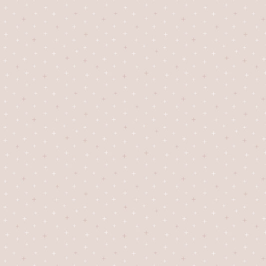 Be Positive | Misty Rose