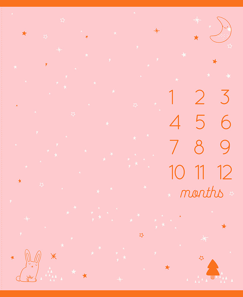 Birthday Panel | Cotton Candy