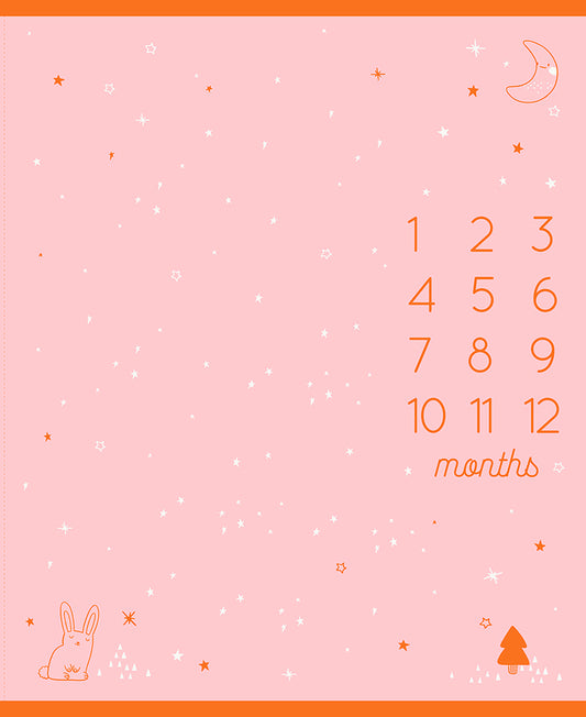 Birthday Panel | Cotton Candy