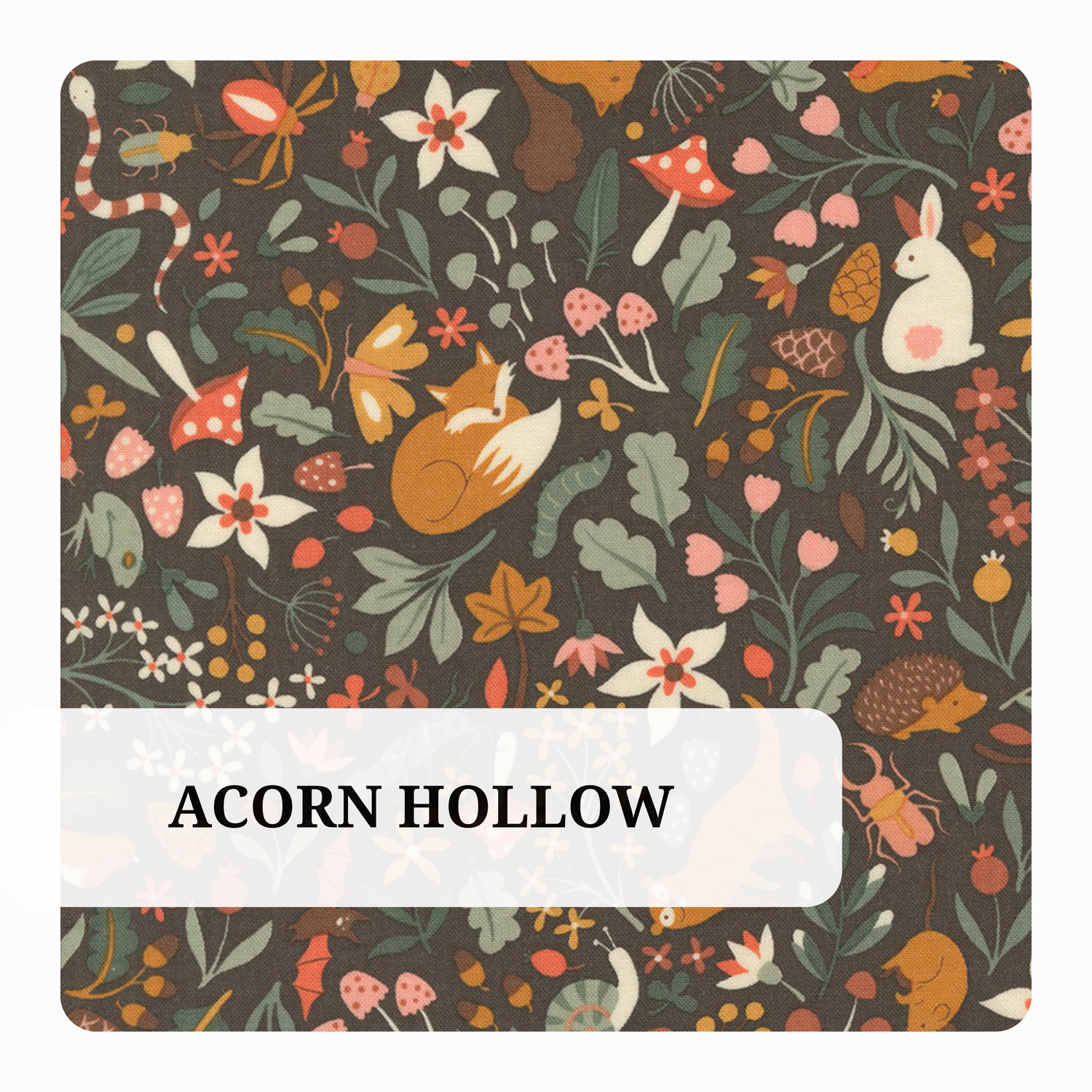 Acorn Hollow