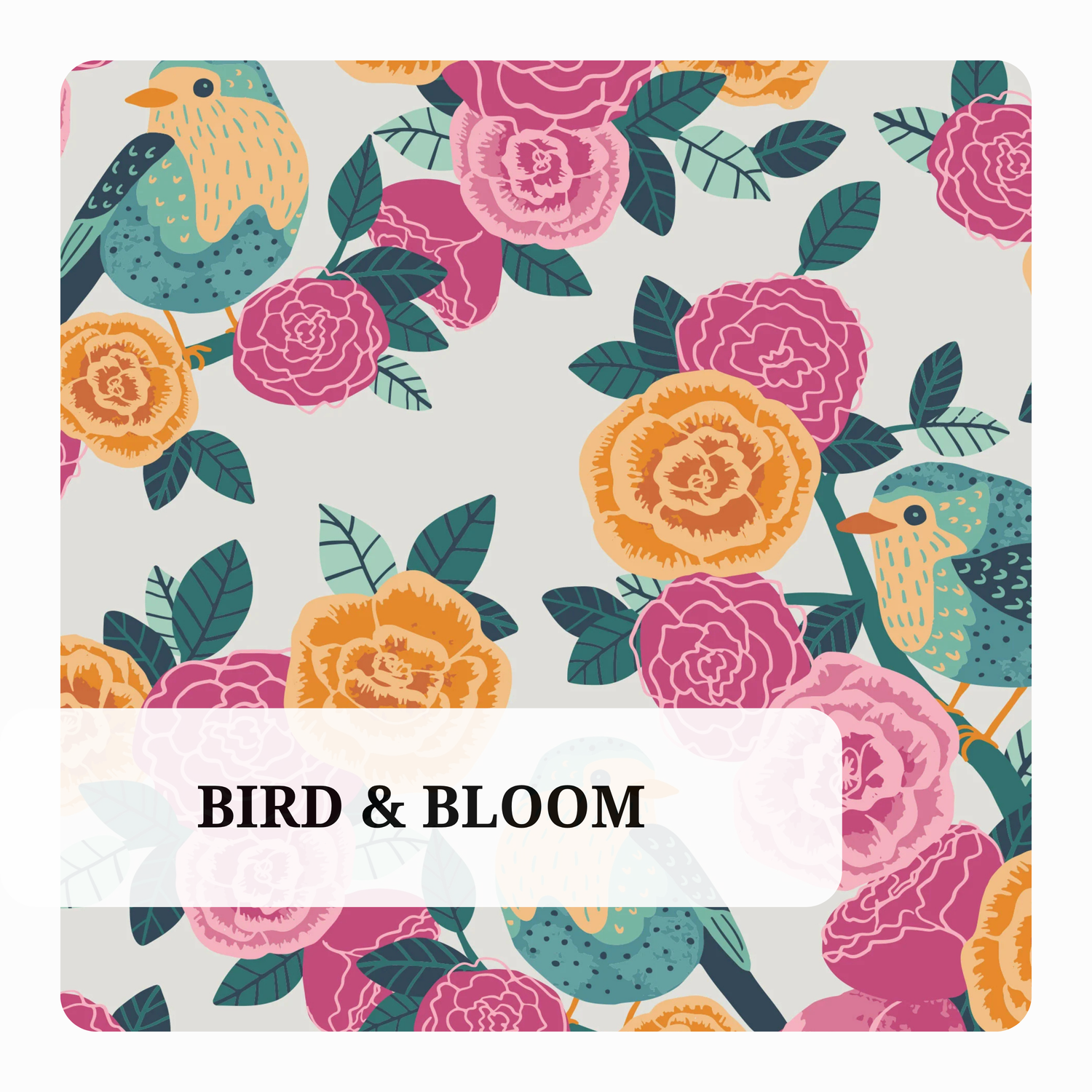 Bird & Bloom