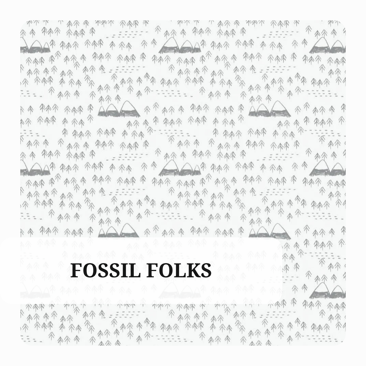 Fossil Folks