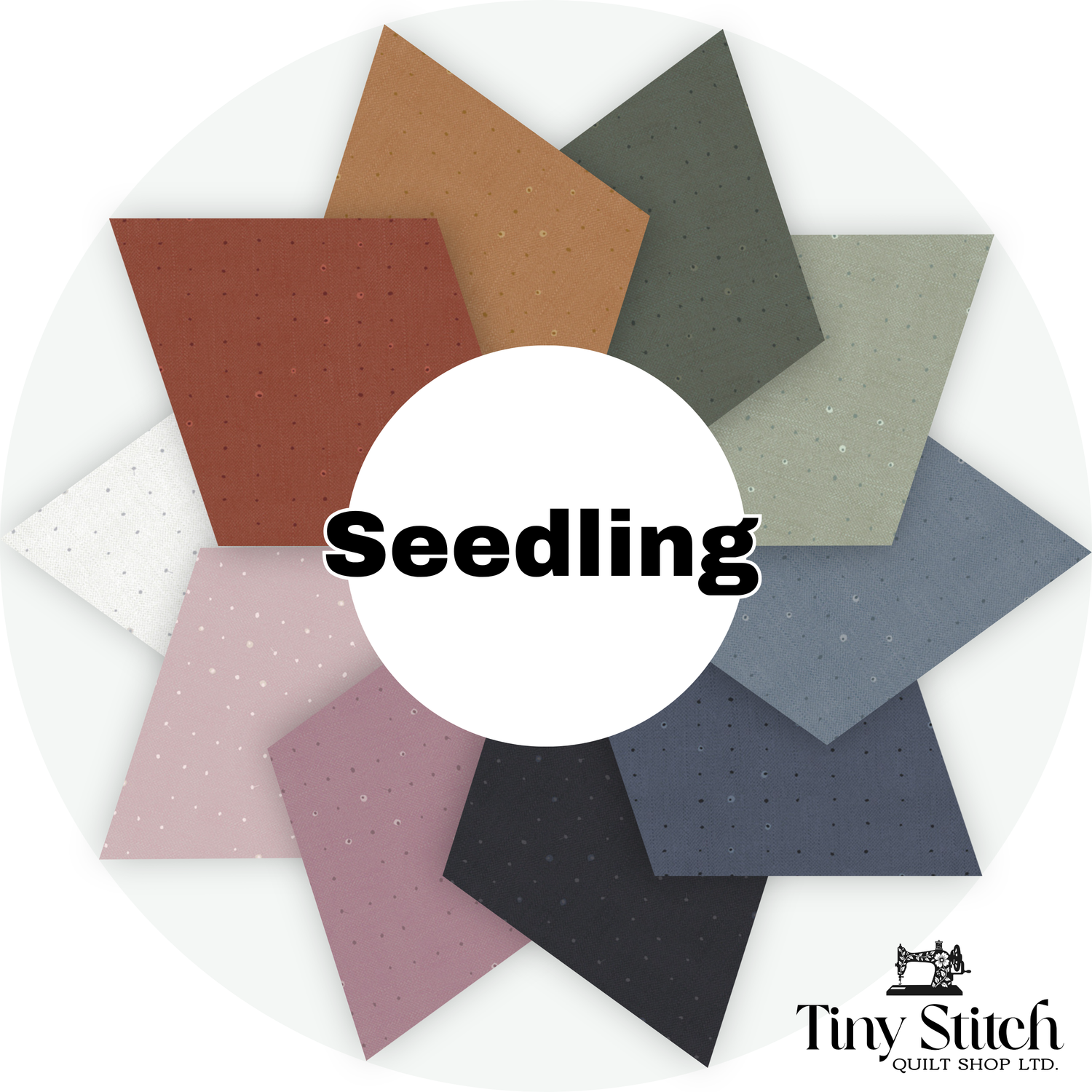 Seedling