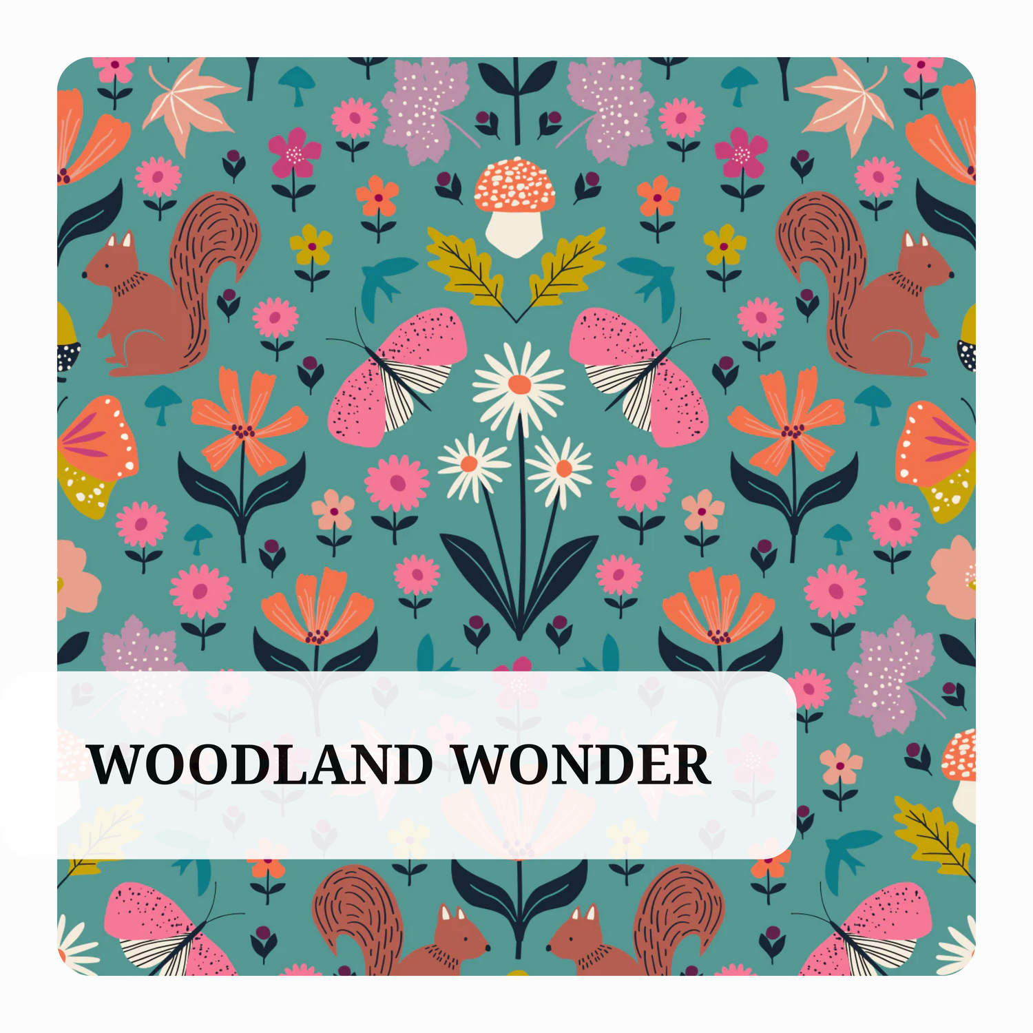 Woodland Wonder