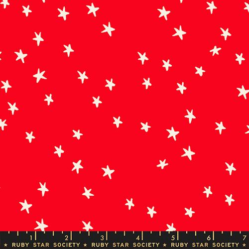 Starry | Ladybug