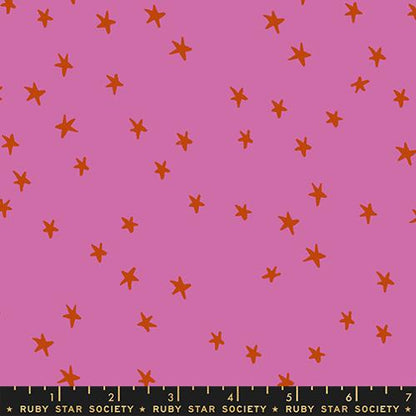 NEW Starry Fat Quarter Stack |  19 FQ