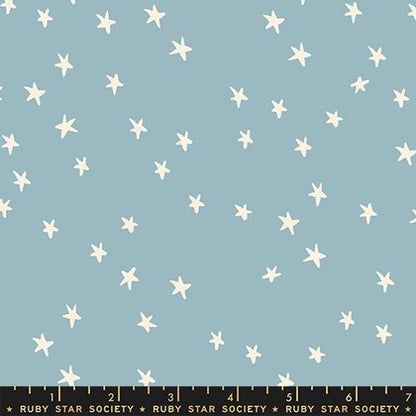 NEW Starry Fat Quarter Stack |  19 FQ