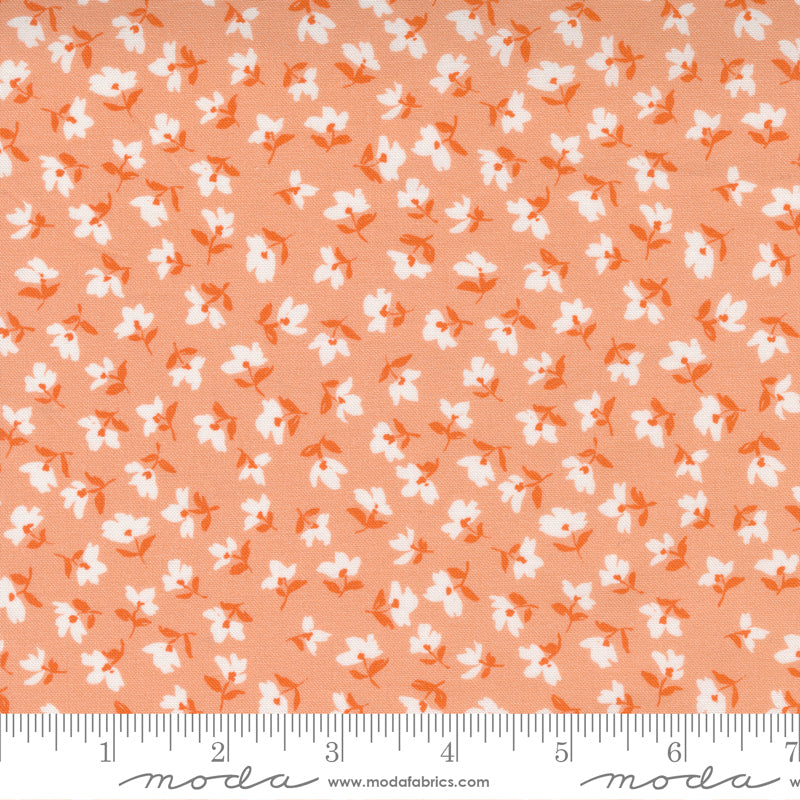 Paisley Rose | Rose Peach