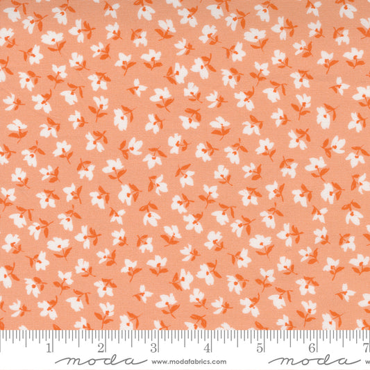 Paisley Rose | Rose Peach
