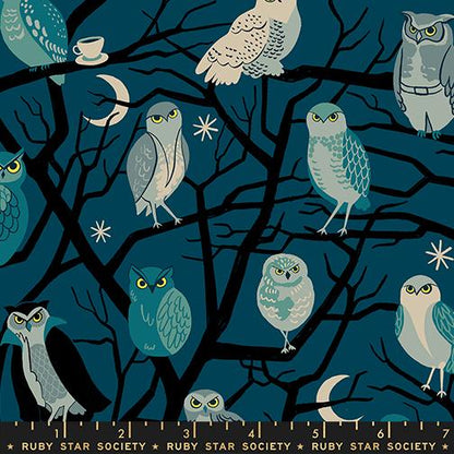 Owls | Galaxy