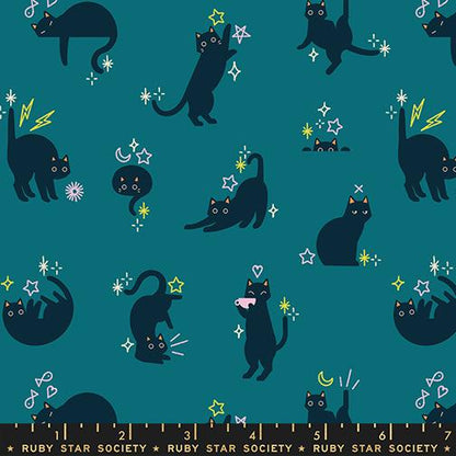Cats | Storytime