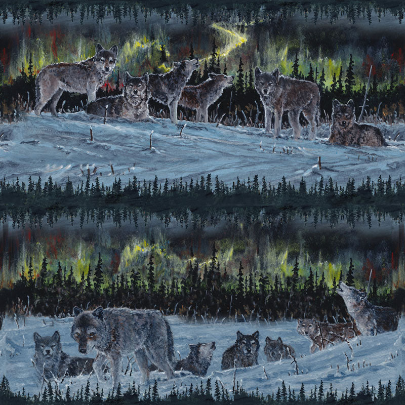 Moonlight Encounter | By the 0.10 Metre