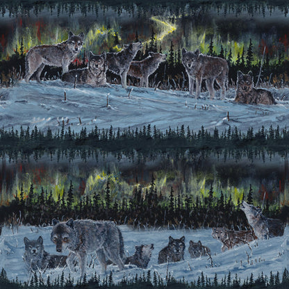 Moonlight Encounter | By the 0.10 Metre