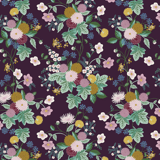 Dahlia | Dahlia in Aubergine