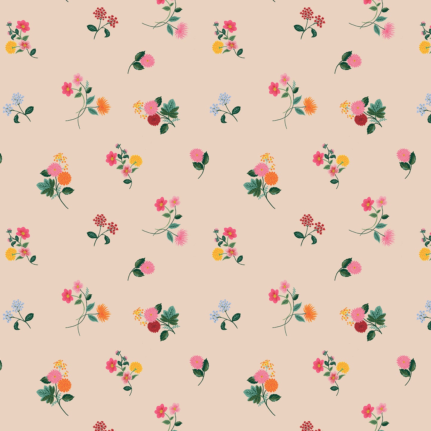 Dahlia | Blush