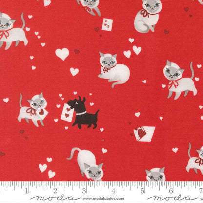 Funny Valentine Fat Quarter Stash | 9 FQ