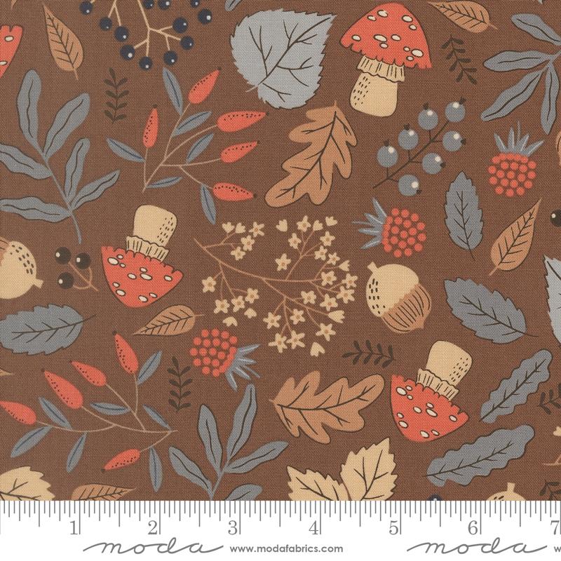 Forest Finds | Bark