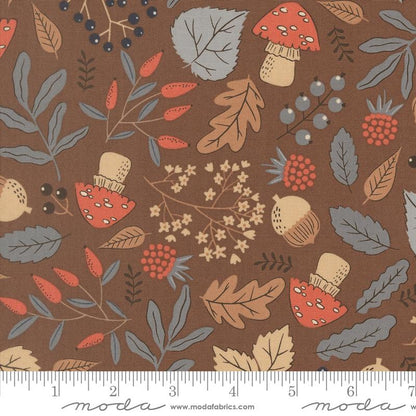 Forest Finds | Bark