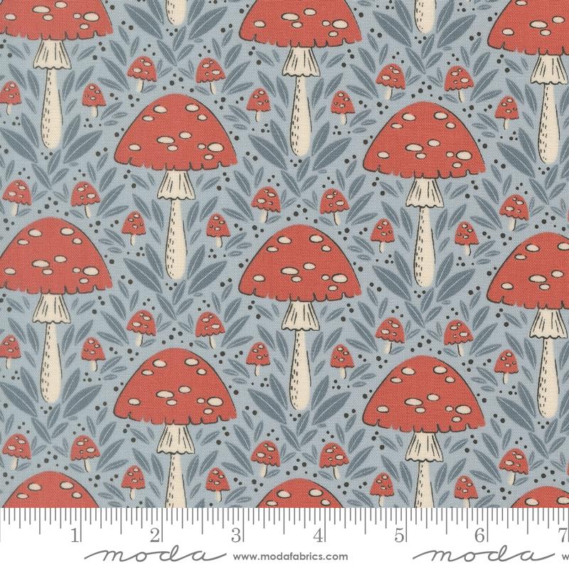 Mushroom Fall | Sky