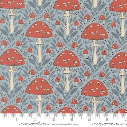 Mushroom Fall | Sky