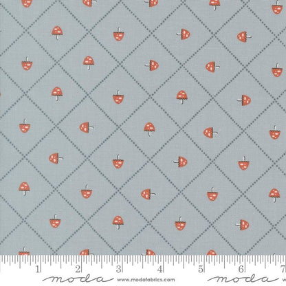 Mushroom Grid | Sky