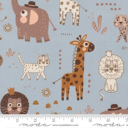 Safari | Sky