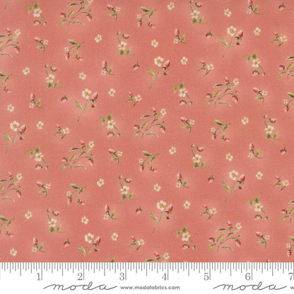 Berry Bramble | Rose