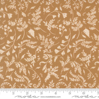 Fern Trail | Golden