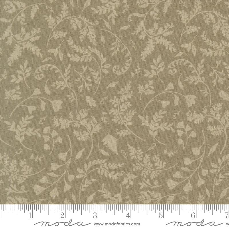 Fern Trail | Sage