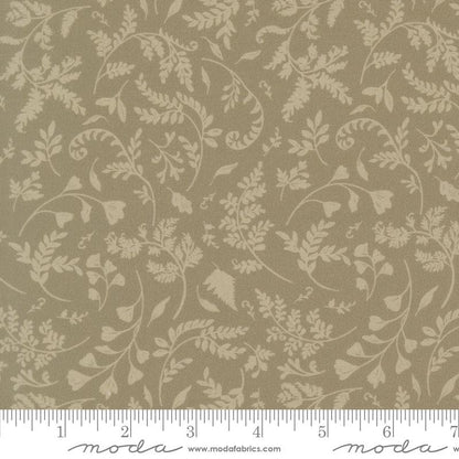 Fern Trail | Sage