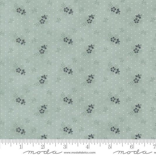 Little Flower | Sky