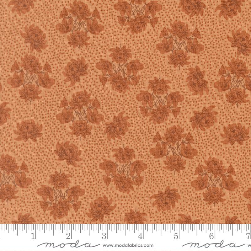 Speckled Serenade | Coral Seashell